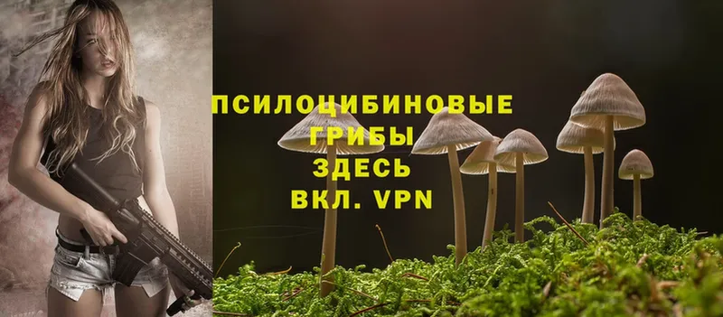 Псилоцибиновые грибы GOLDEN TEACHER  закладки  МЕГА вход  Раменское 